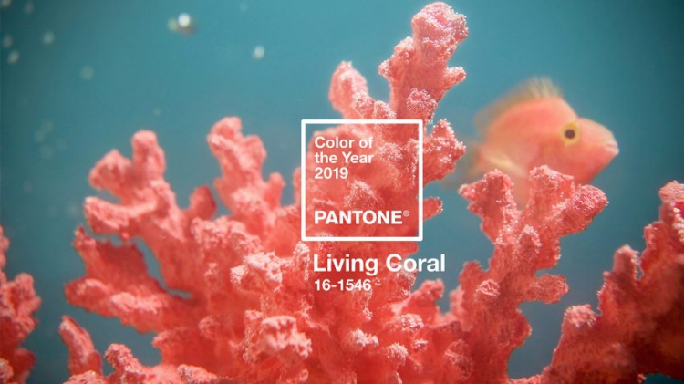 barva roku 2019 pantone living coral 01