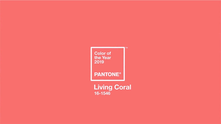 barva roku 2019 pantone living coral 02