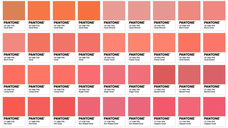 barva roku 2019 pantone living coral 03
